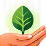 Illustration of a seedling growing out of hands, symbolizing sustainable living and community workshops.